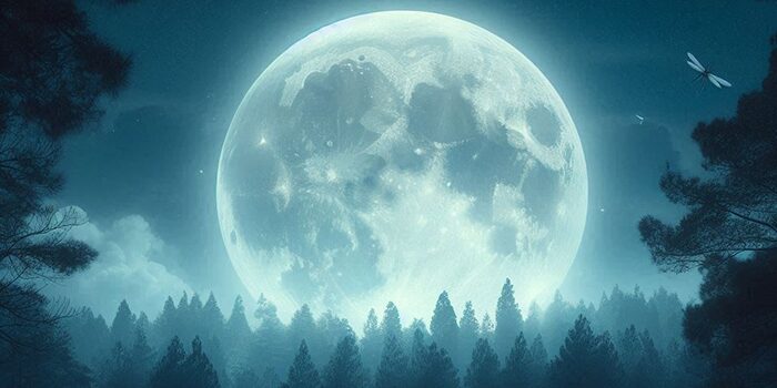 Preparación de agua de luna